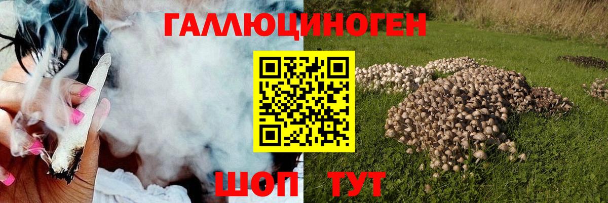 Псилоцибиновые грибы Magic Shrooms Сафоново